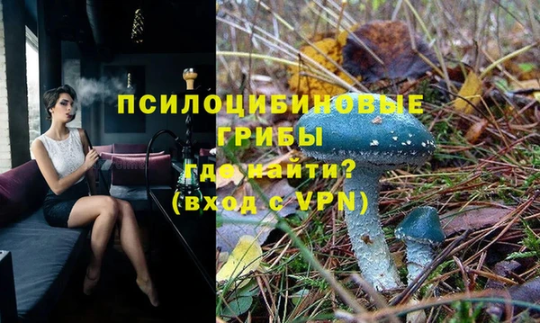 а пвп мука Абаза