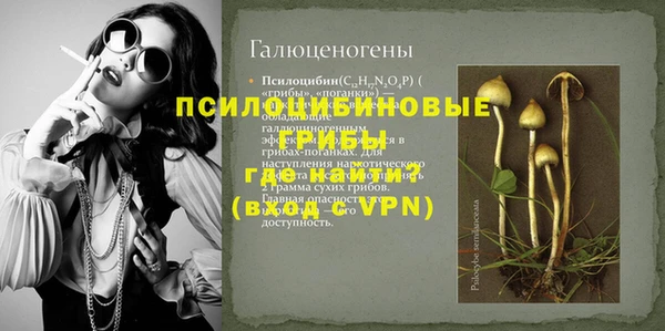 а пвп мука Абаза