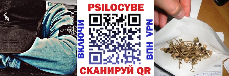 Галлюциногенные грибы прущие грибы  Эртиль 